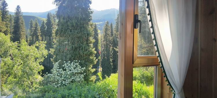 琼库什台盛开民宿图片