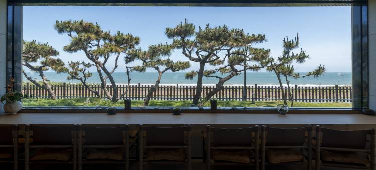 日照松海云舍图片