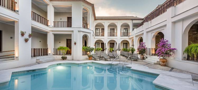 NH阿米斯特德酒店(NH Collection Amistad Cordoba)图片