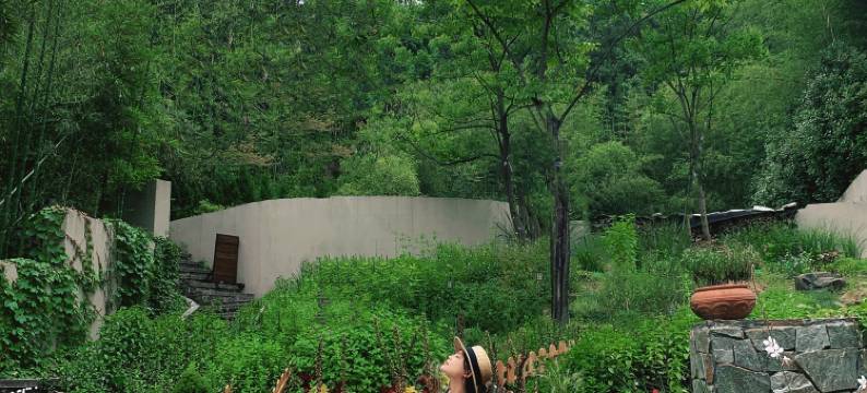 溪山原宿·莫干山Vanilla香草森林温汤美宿图片