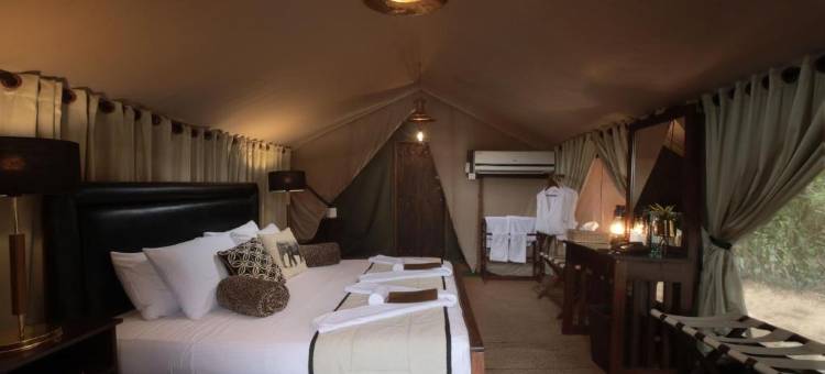 韦帕图花豹小径旅馆(Leopard Trails Wilpattu)图片