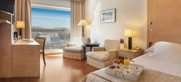 梅丽亚瓦伦西亚皇宫酒店(SH Valencia Palace)图片