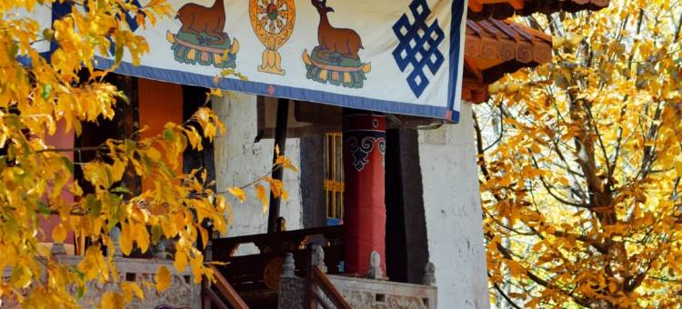 拉萨春秋富氧酒店(布达拉宫八廓街店)图片