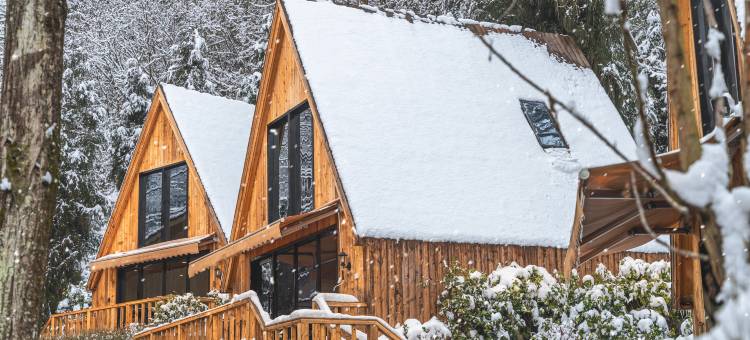 彭州挪威森林溪舍Forest hiking私汤民宿图片