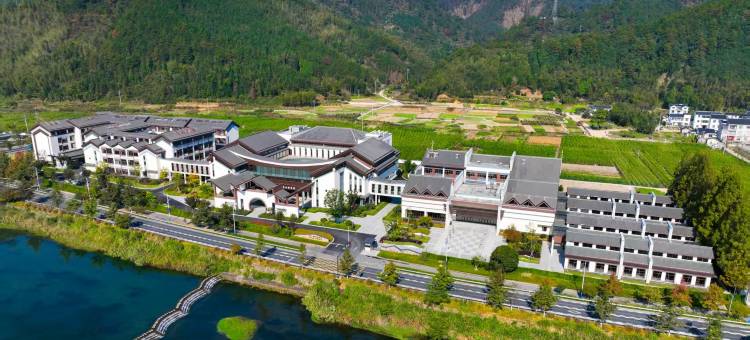 千岛湖下姜雷迪森维嘉酒店图片
