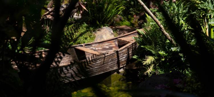 花语水岸·Alice in Wonderland客栈(爱丽丝仙境总店)图片