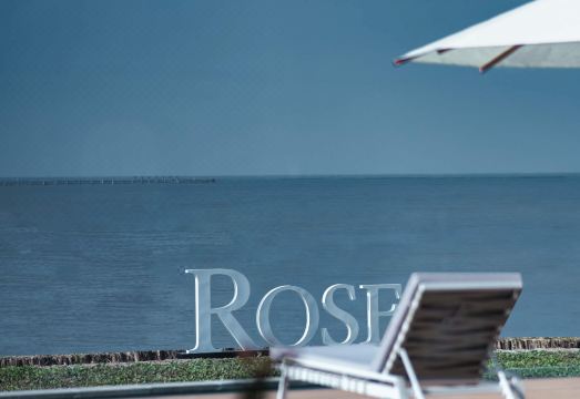 ROSE Garden Homestay over view