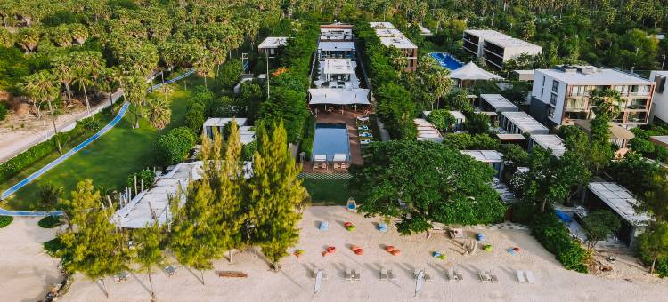 华欣 SO 索菲特(SO/ Sofitel Hua Hin)图片