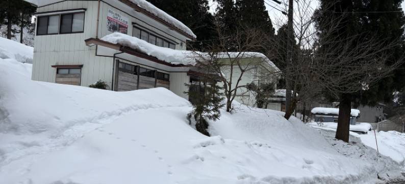 斗牛锦鲤传统文化会馆(Bullfighting and Nishikigoi Traditional Culture Center)图片