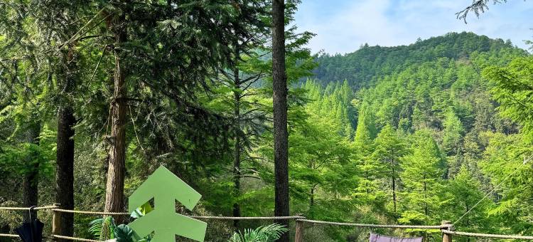 安吉·雲边小院·Cloud诧寂山野度假民宿(云上草原店)图片