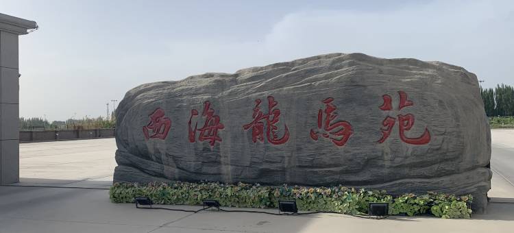 西海龙马苑酒店图片