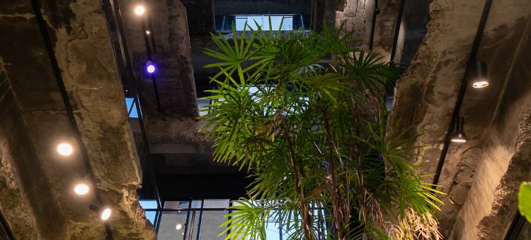 台中植光花园酒店图片