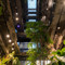 台中植光花园酒店