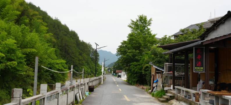 杭州临安龙井源民宿(龙井峡漂流三渡山地运动公园店)图片