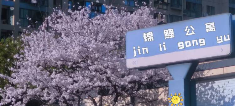 075·锦鲤公寓(杭州宋城店)图片