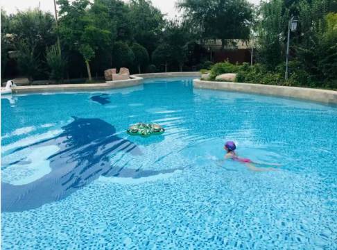 扬州凤凰岛逸扬温泉度假村落图片