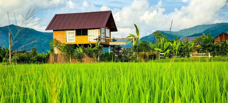 Deetorjai 农场住宿南(Deetorjai Farmstay Nan)图片