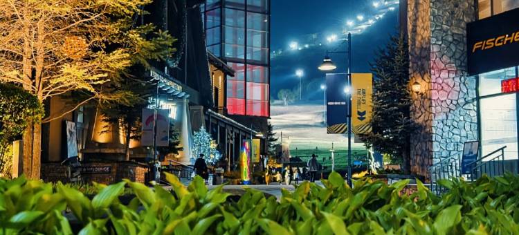 喜乐·拾个院子公寓别墅(万科松花湖度假区店)图片