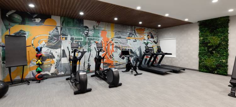 温德姆迪索托拉昆塔温德姆酒店套房(La Quinta Inn & Suites by Wyndham DeSoto)图片
