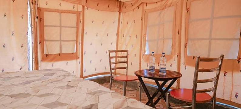 比卡内尔莱萨尔巴蒂沙漠营舍(Bhati Desert Camp Raisar Bikaner)图片