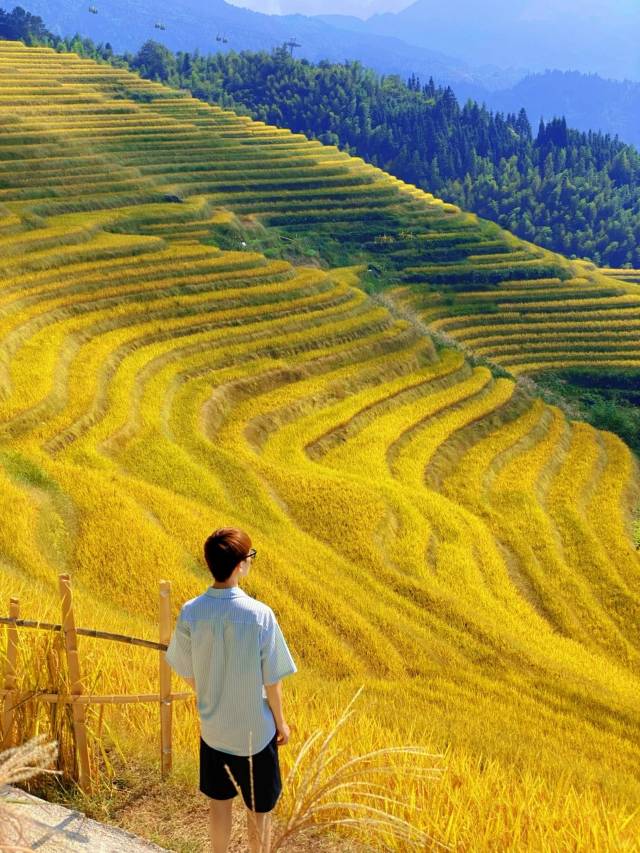 稻田里·享全景美宿(龙脊梯田二号观景台店)图片