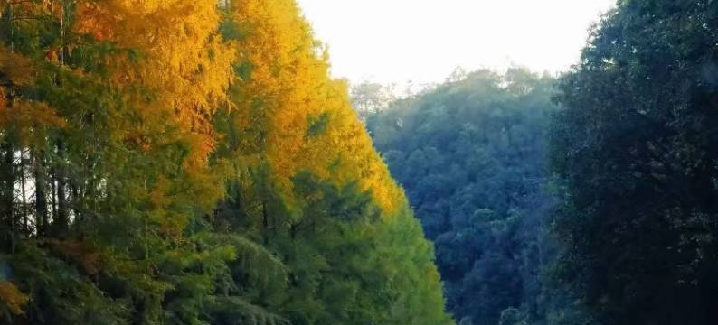 宁国胜道民宿(皖南川藏线板桥店)图片