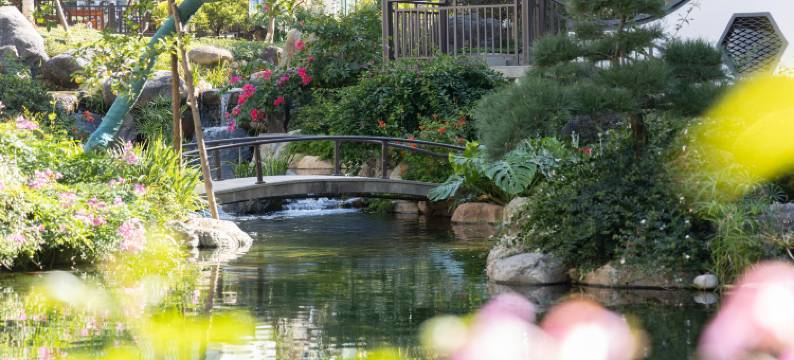 武夷山凯乐福度假酒店(印象大红袍店)图片