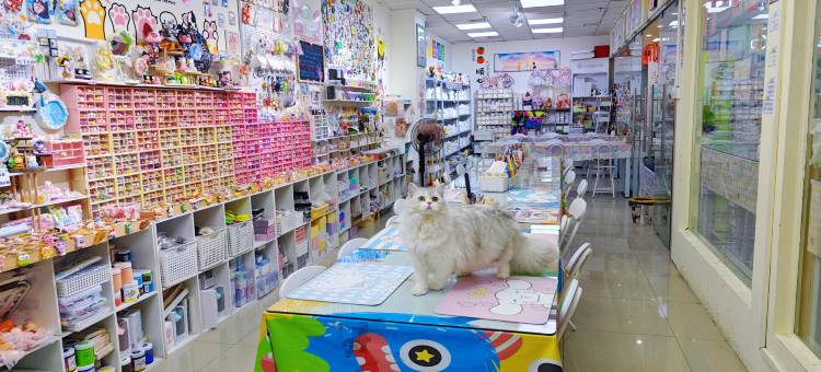 遵义蒂莲雅酒店(汇川区苏州路店)图片