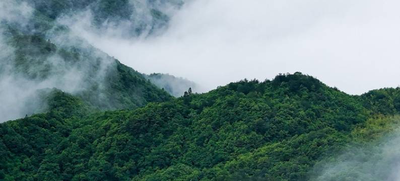 吉安丨杜鹃花Comfort Relax Lifestyle零压智慧酒店(吉安站店)图片