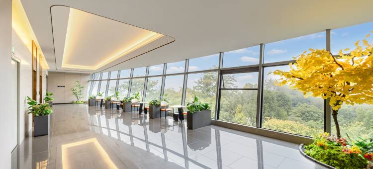 雅斯特国际酒店(柳州窑埠古镇东堤游船码头店)图片