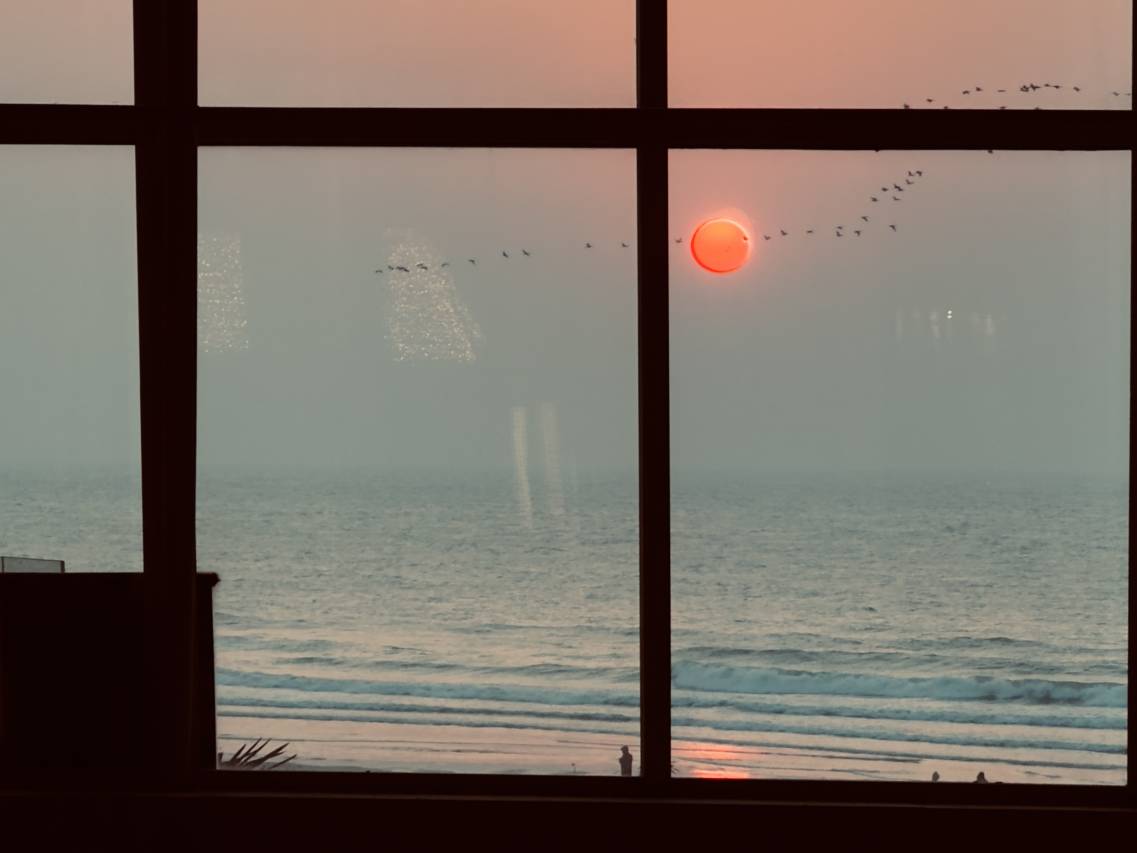 青岛山港凯悦酒店图片