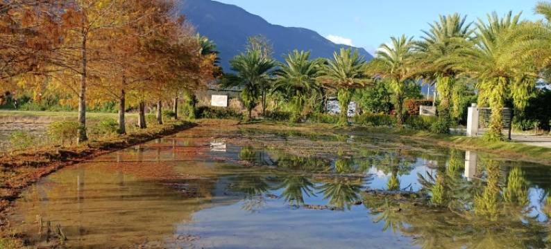 簡單生活景觀｜看見幸福民宿图片