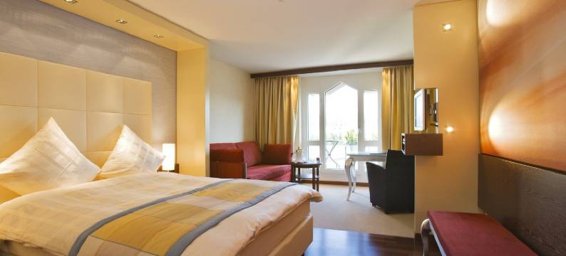 瑞维尔桑蒂斯公园酒店(Revier Hotel Säntispark)图片