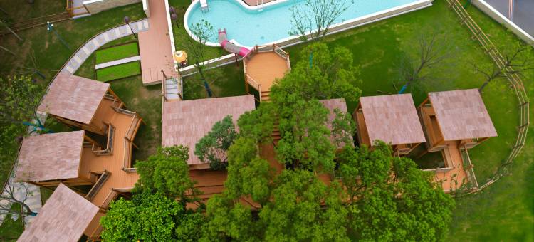 庐江溪地阿兰若吉光片羽图片