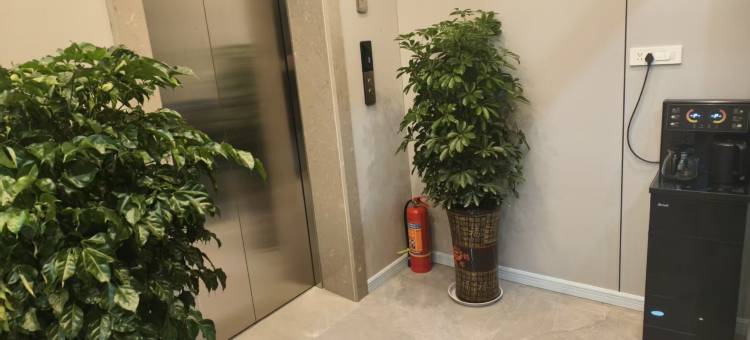 枫林湾美宿图片