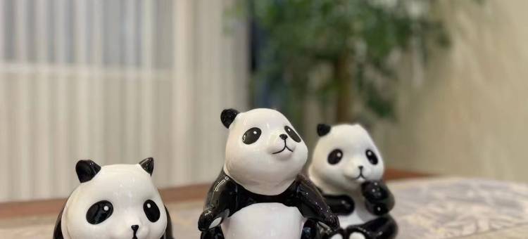 雅安蜀天星月宾馆图片