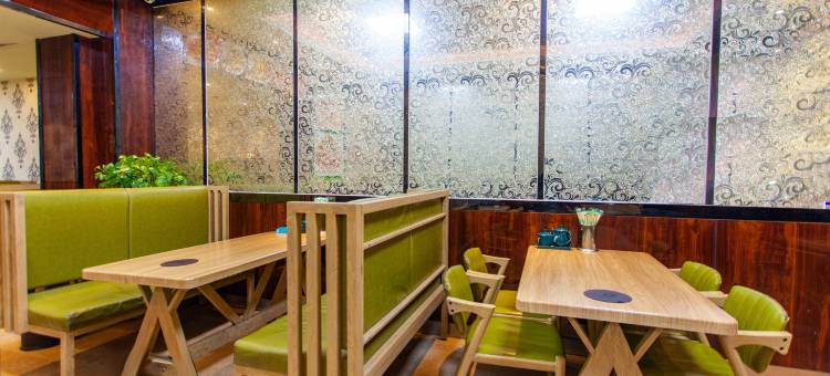 红宝石雅致酒店(乌鲁木齐天山国际机场店)图片