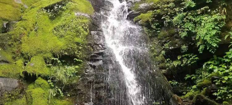 龙头山驿站图片