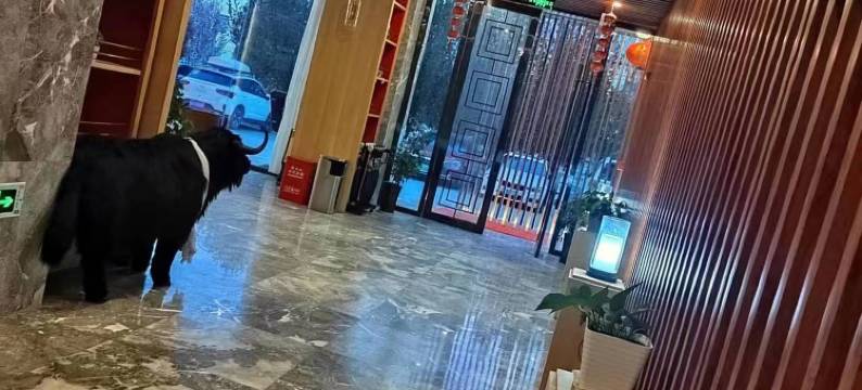 伯爵世家酒店(山南客运站店)图片