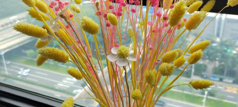 深圳盈客民宿(会展中心店)图片