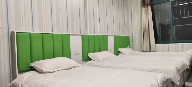 枞阳水乐宾馆图片