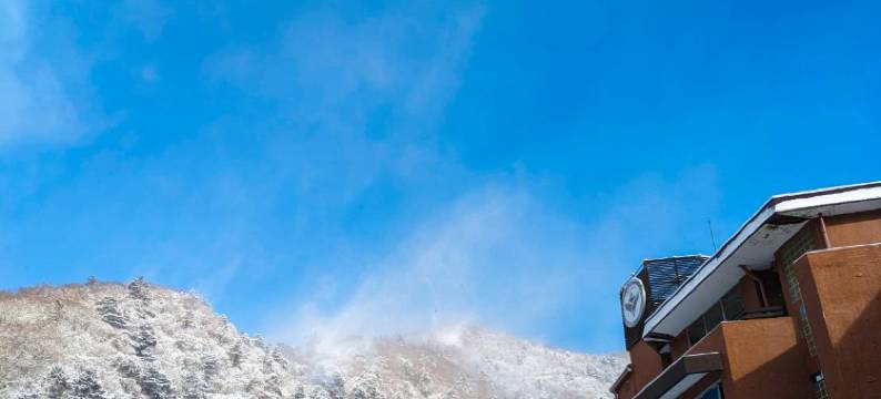 日光花园酒店(Nikko Garden Hotel)图片