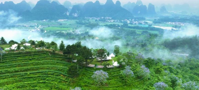 T三峰林茶谷野奢帐篷营地图片