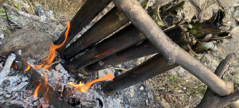 元阳多依树景区客栈图片