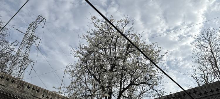 豫陕地坑院民宿(三门峡陕州区店)图片