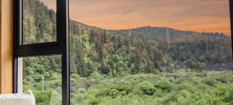 香格里拉山下山野火供氧民宿(普达措国家公园店)图片