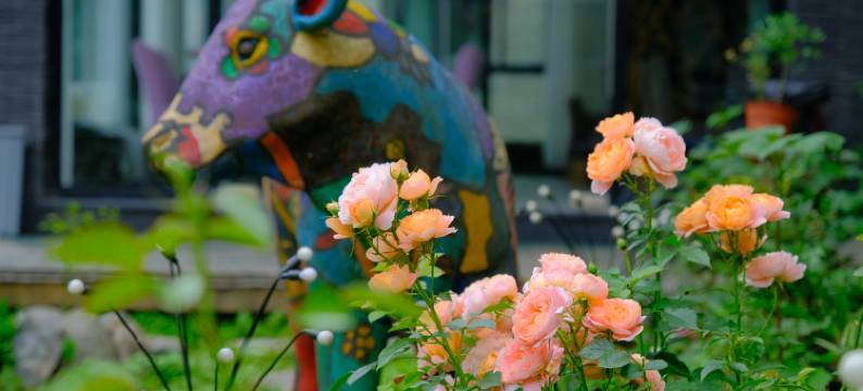 西岭雪山蜗牛小汤民宿图片