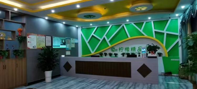 汉中柠檬精品酒店图片