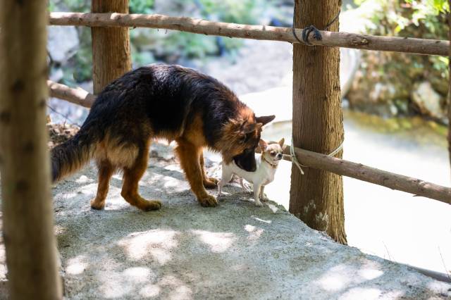 九思居·环谷秘境·日出云海·珍馐度假美宿(天目山店)图片
