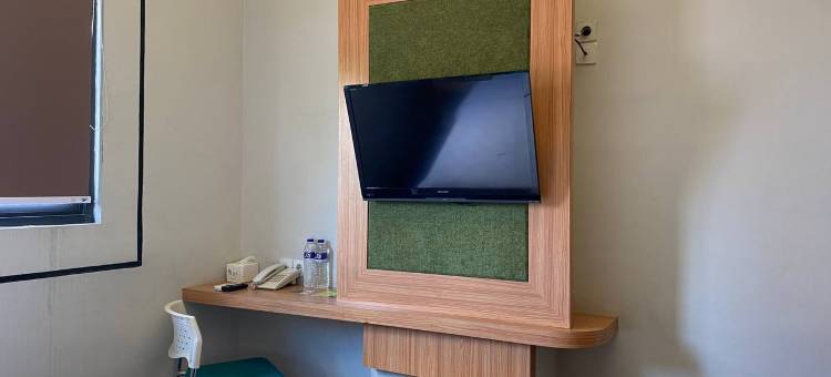 安阿博比兹酒店(Arbor Biz Hotel)图片